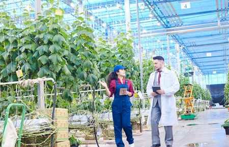 agricultural engineering
