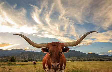 Apprenticeship Texas