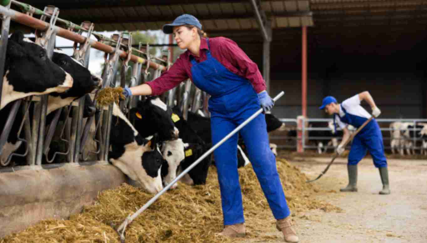 Farmer rancher