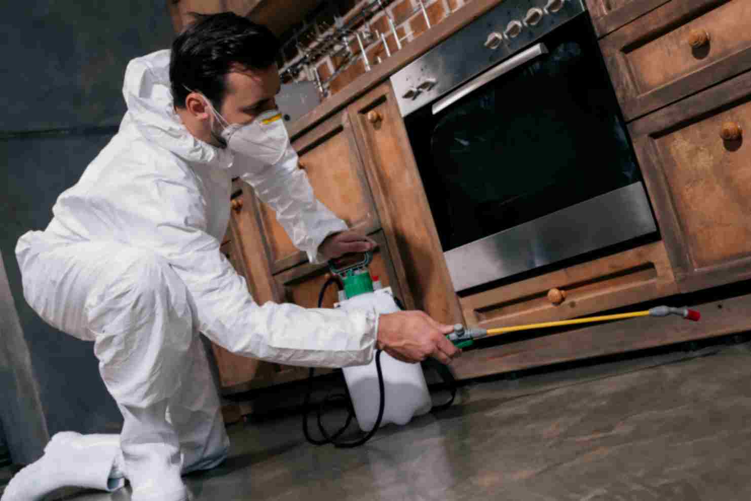 Pest control exterminator