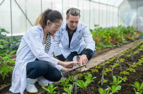 Soil & Plant Scientist