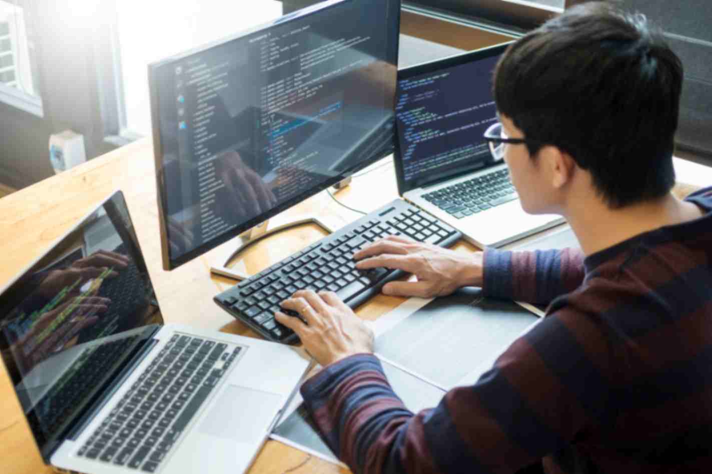 Web developer designer