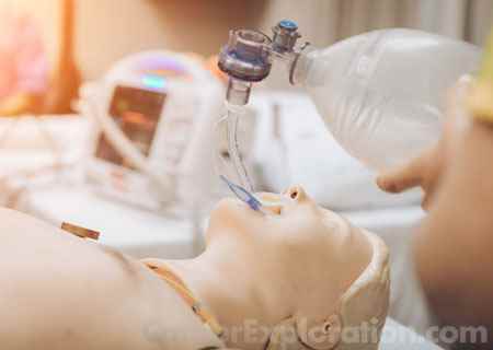 Cardiopulmonary Technology/Technologist Major