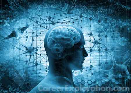 Multi/Interdisciplinary Studies