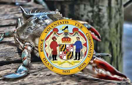 Maryland Apprenticeship Programs