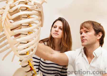 Pre-Chiropractic Studies Major