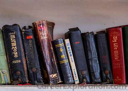 Philosophy and Religious Studies